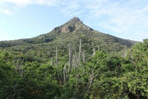 Christoffelberg in Curaçao, the island's highest peak, offering panoramic views and hiking adventures.