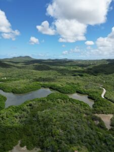 Christoffelberg Park in Curaçao, featuring lush trails, diverse wildlife, and the island's highest peak, offering panoramic views of the surrounding landscape.