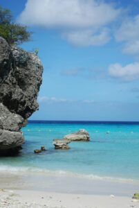 Sunny Curaçao beach with turquoise water and palm trees, showing the island’s perfect year-round weather.