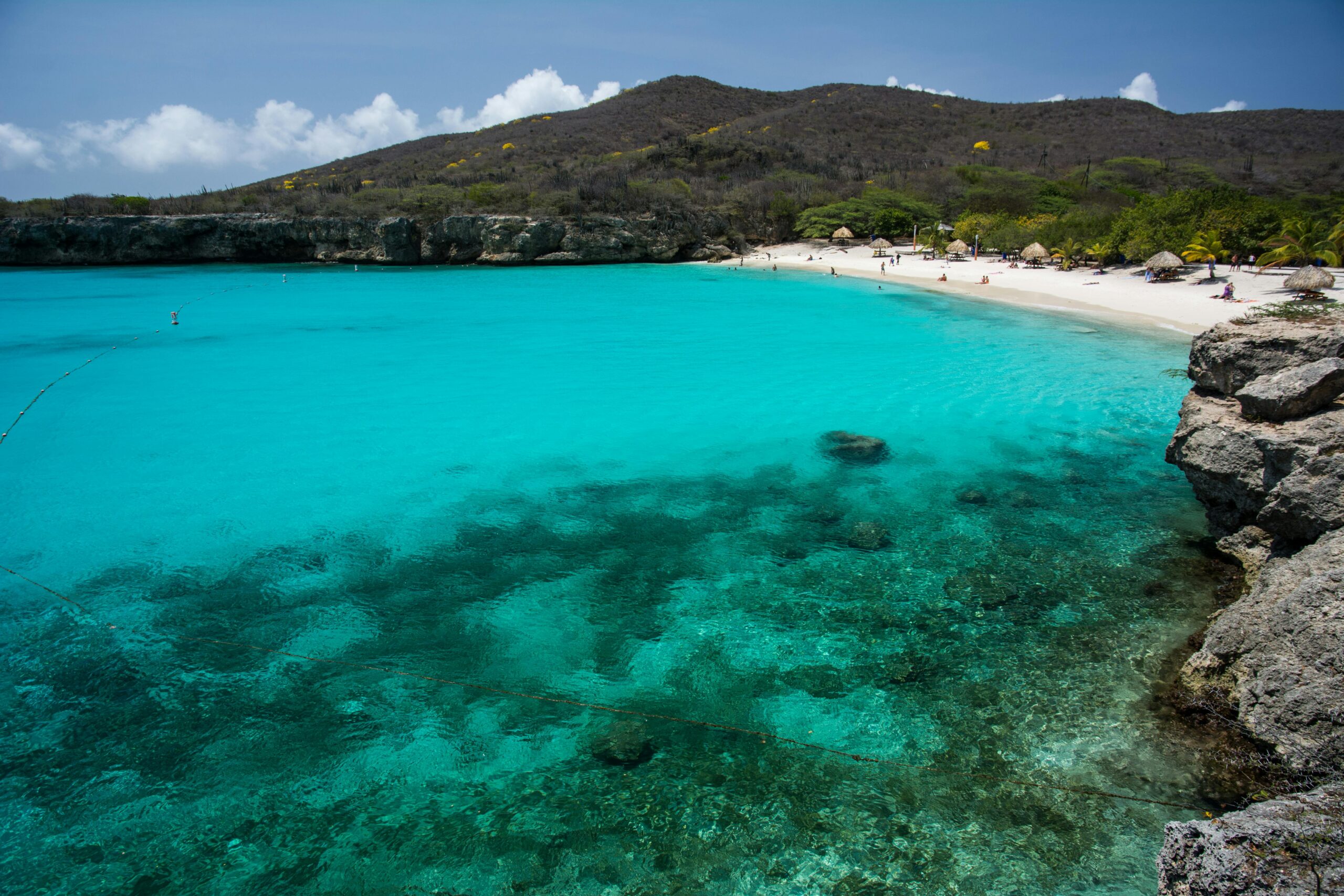 Pristine beach in Curaçao with turquoise waters, soft white sand, and a serene tropical setting.