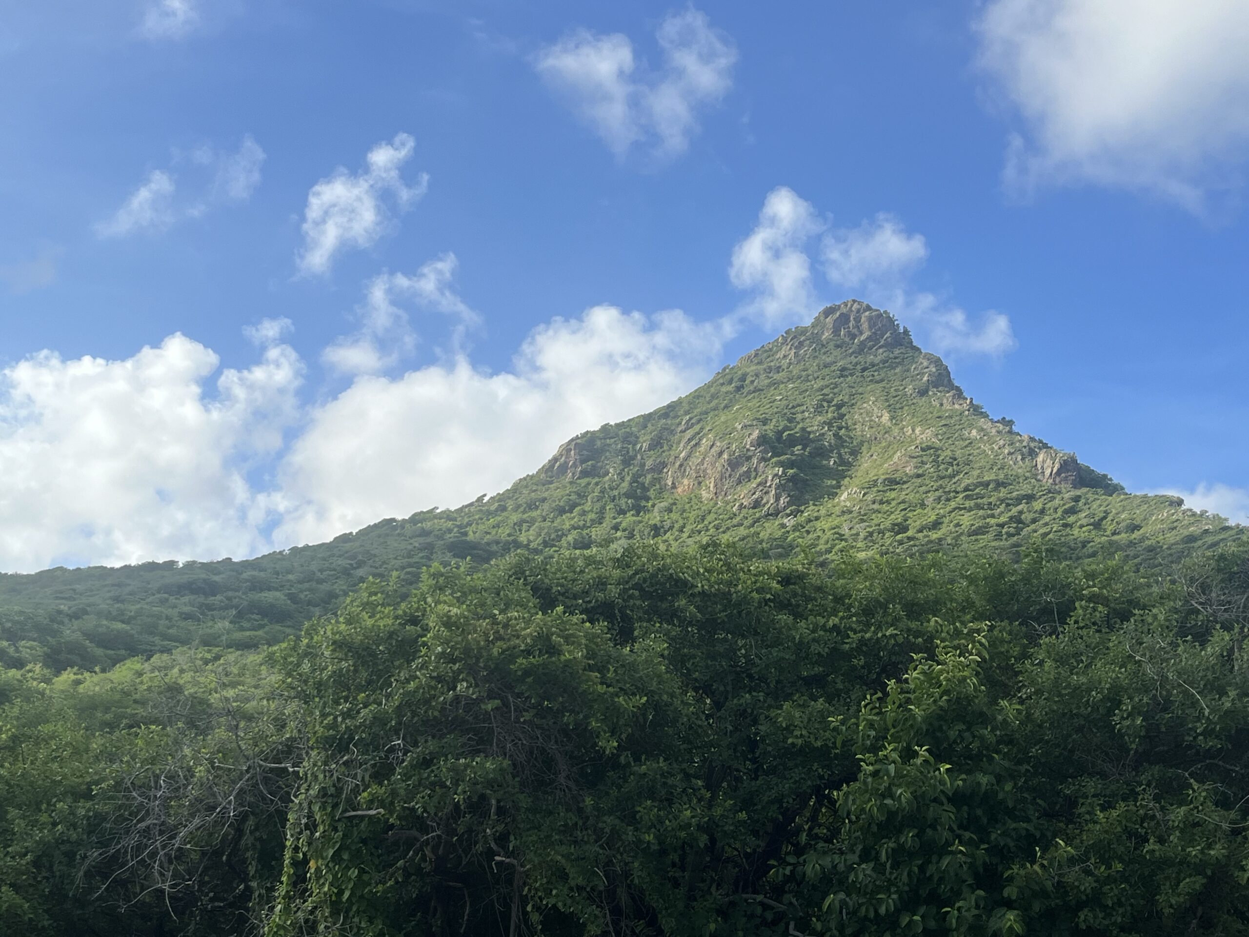 Panoramic view from the top of Christoffelberg, Curaçao, showing coastline and hills