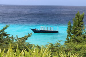 Curaçao beach with clear skies, turquoise sea, and palm trees, showing the island’s sunny Caribbean weather.